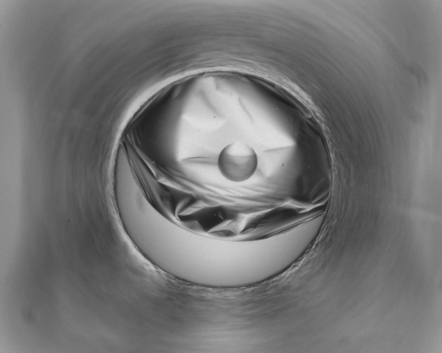 X0000111921536200908101211