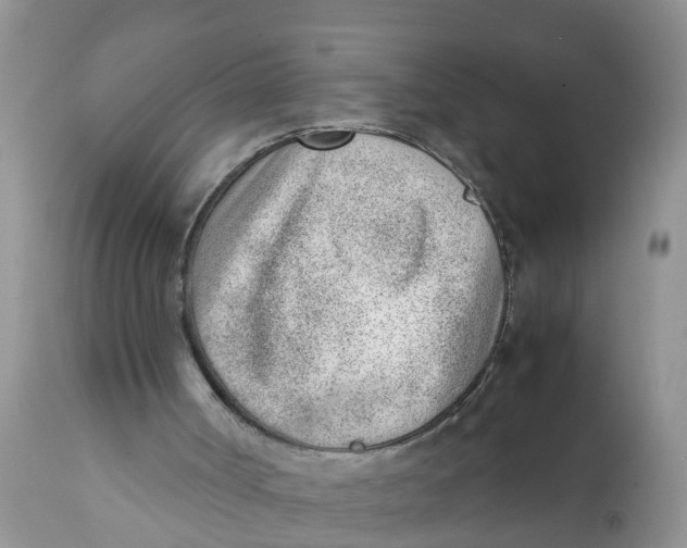 X0000111920002200908171335