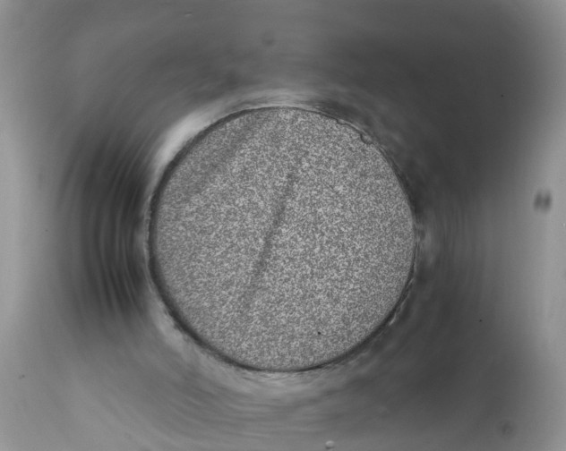 X0000111920006200908171335