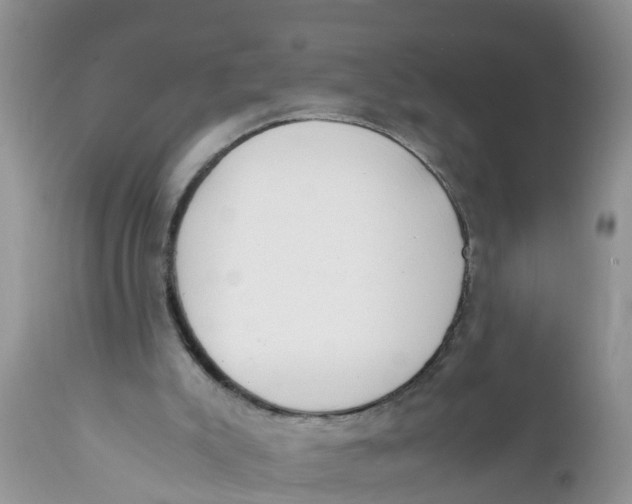 X0000111920007200908171335