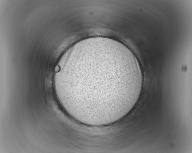 X0000111920010200908171335