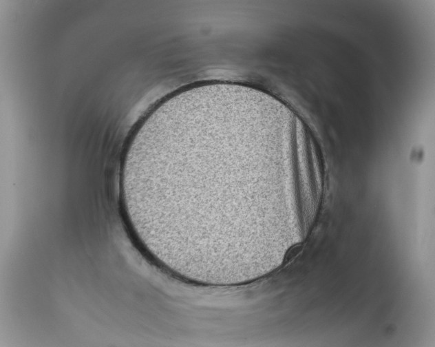 X0000111920011200908171335