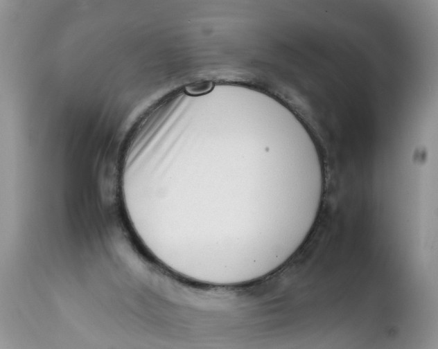 X0000111920012200908171335