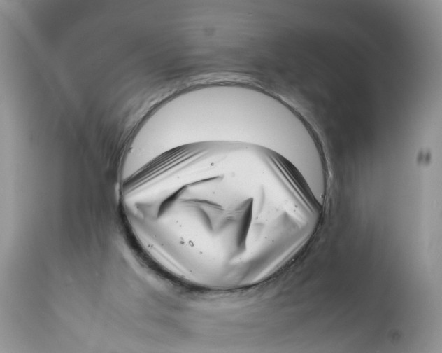 X0000111920013200908171335