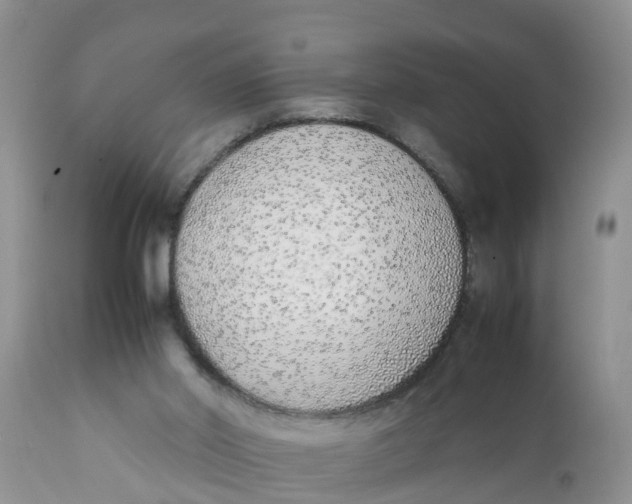 X0000111920014200908171335