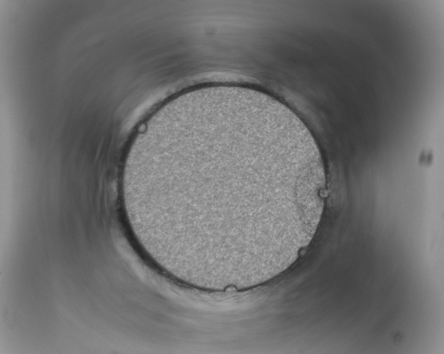 X0000111920015200908171335