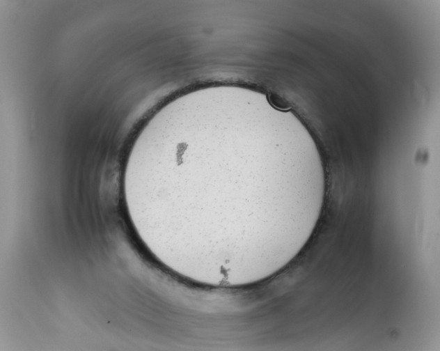 X0000111920016200908171335