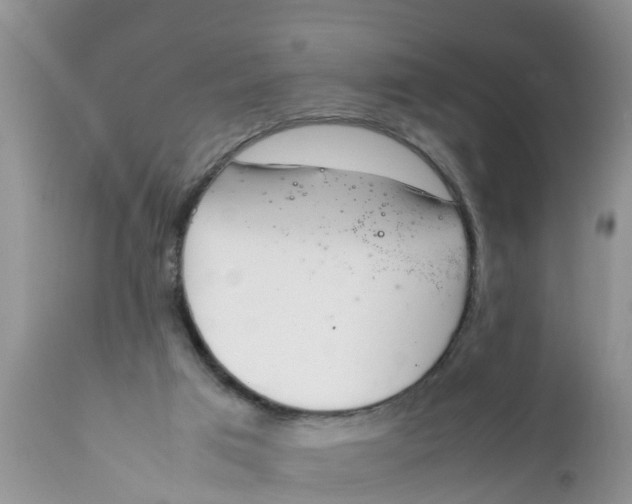 X0000111920017200908171335