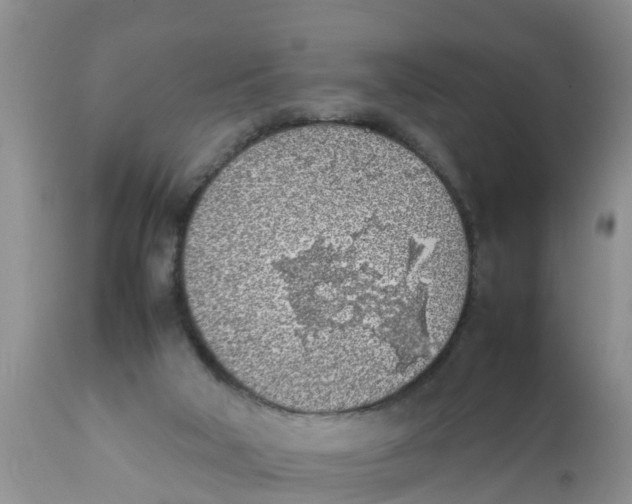 X0000111920018200908171335