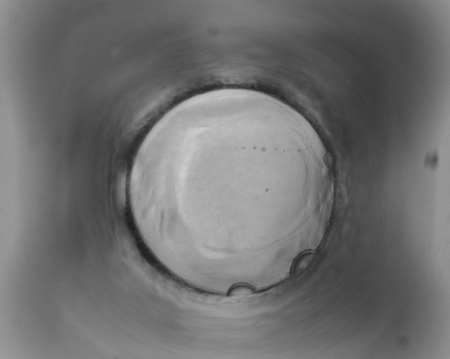 X0000111920019200908171335