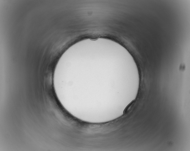 X0000111920021200908171335