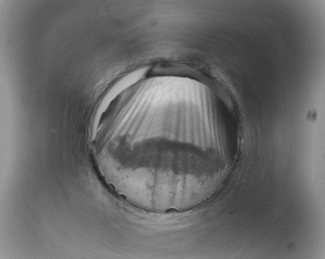 X0000111920023200908171335