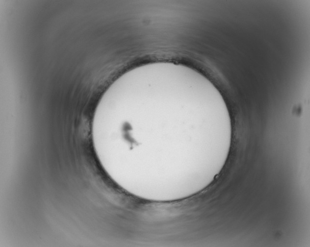 X0000111920025200908171335