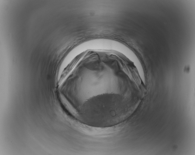 X0000111920027200908171335