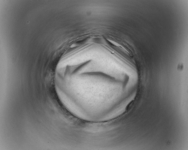 X0000111920029200908171335