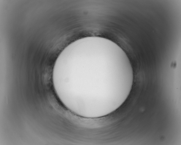 X0000111920030200908171335