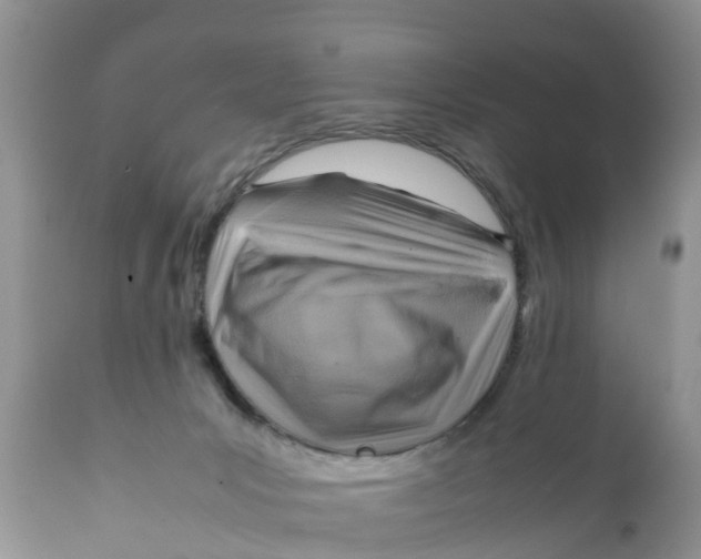 X0000111920031200908171335