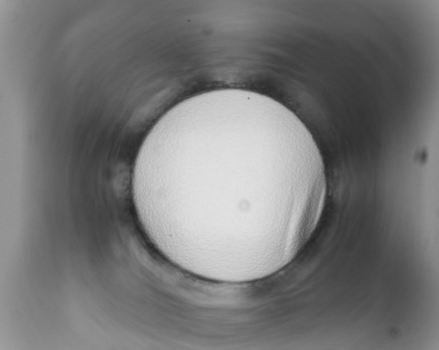 X0000111920036200908171334