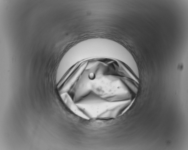 X0000111920037200908171334