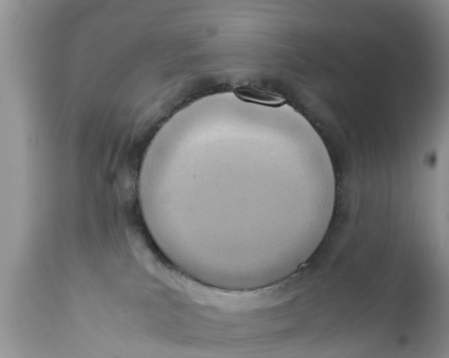 X0000111920039200908171334