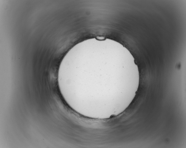 X0000111920040200908171334