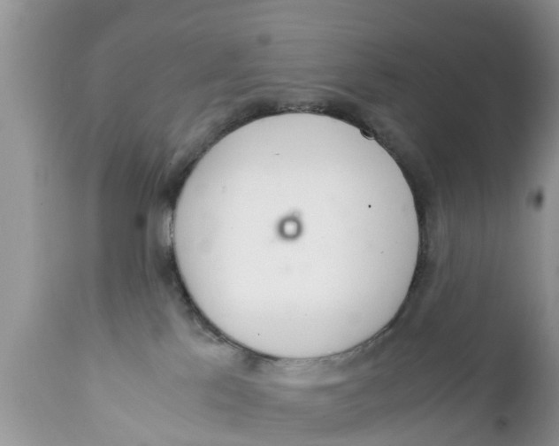 X0000111920041200908171334