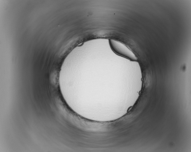 X0000111920044200908171334