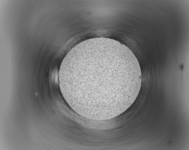 X0000111920046200908171334