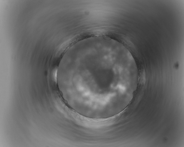 X0000111920047200908171334