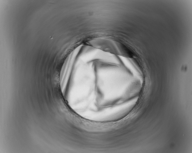 X0000111920048200908171334