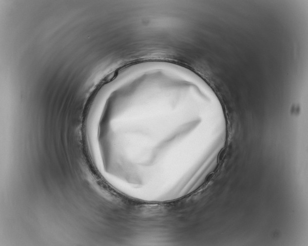 X0000111920050200908171334