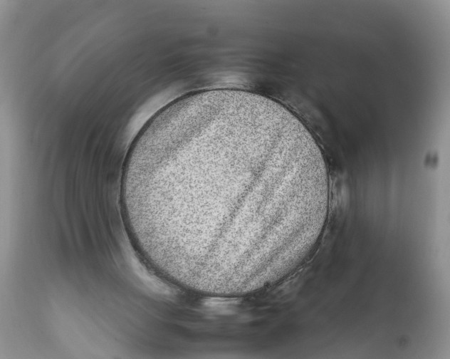 X0000111920051200908171334