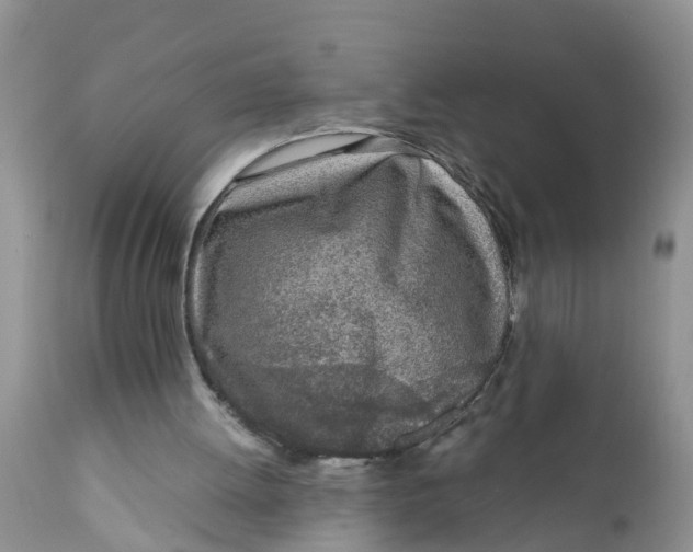 X0000111920052200908171334