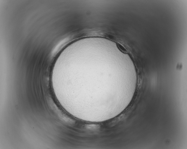 X0000111920053200908171334