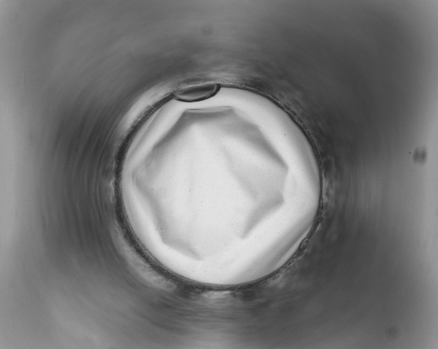 X0000111920054200908171334