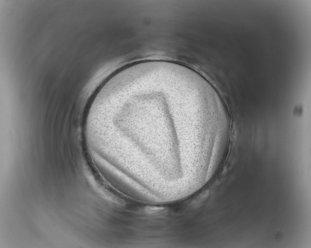 X0000111920055200908171334