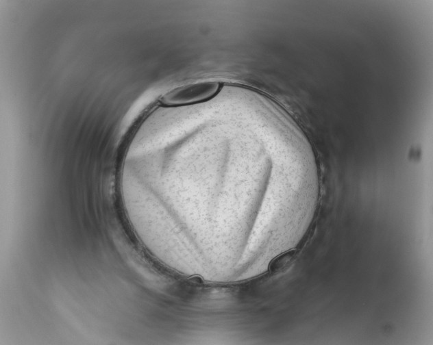 X0000111920056200908171334