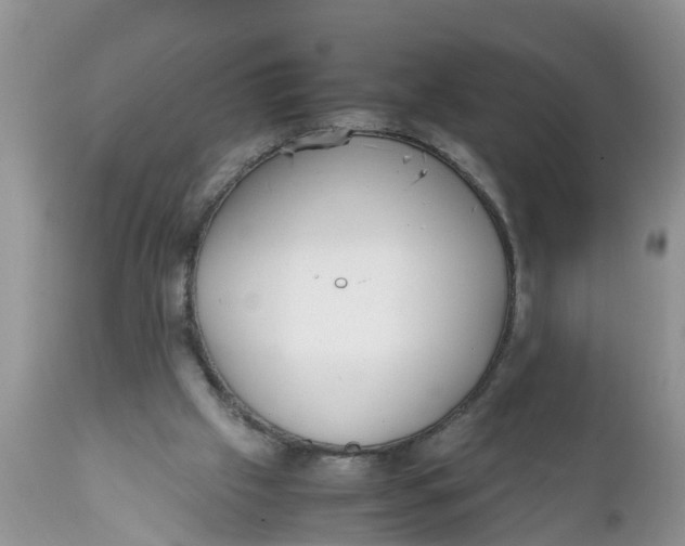 X0000111920057200908171334