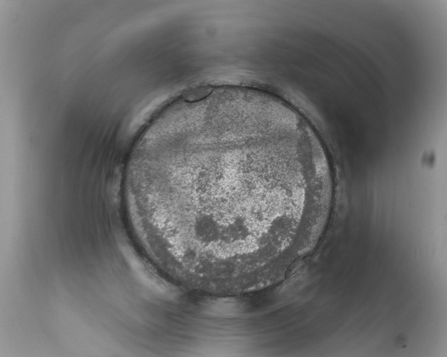 X0000111920058200908171334