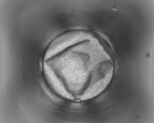 X0000111920061200908171334