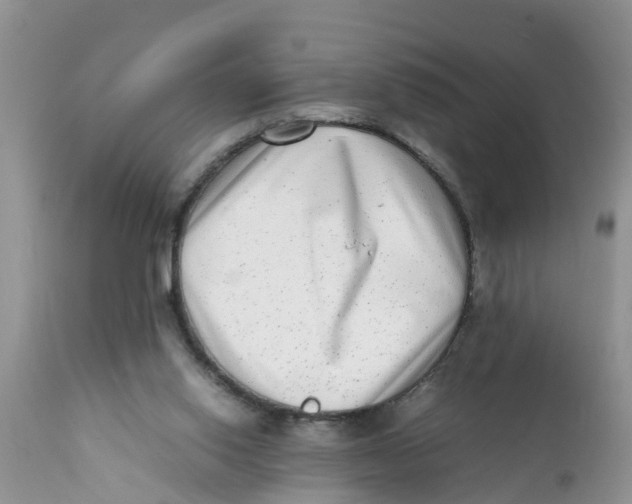 X0000111920062200908171334