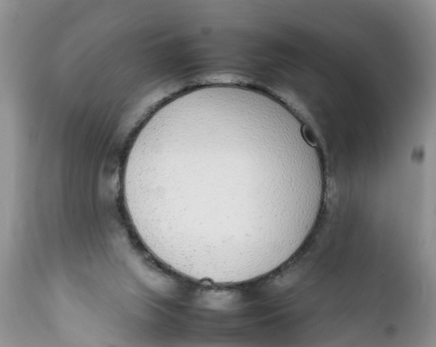 X0000111920063200908171334