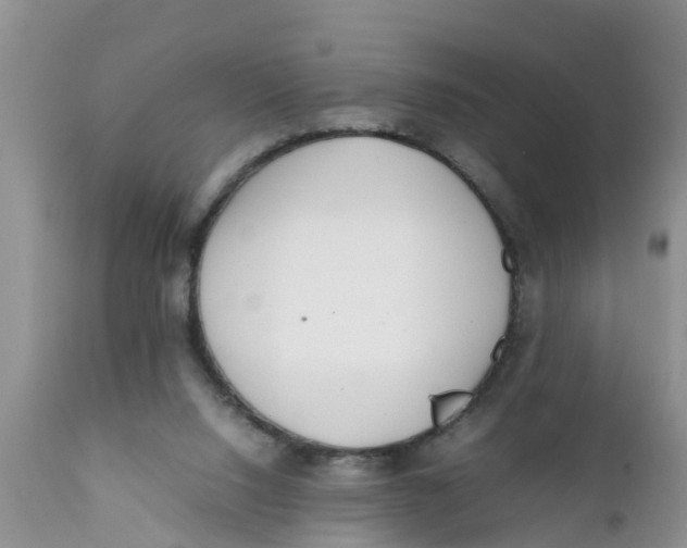 X0000111920064200908171334