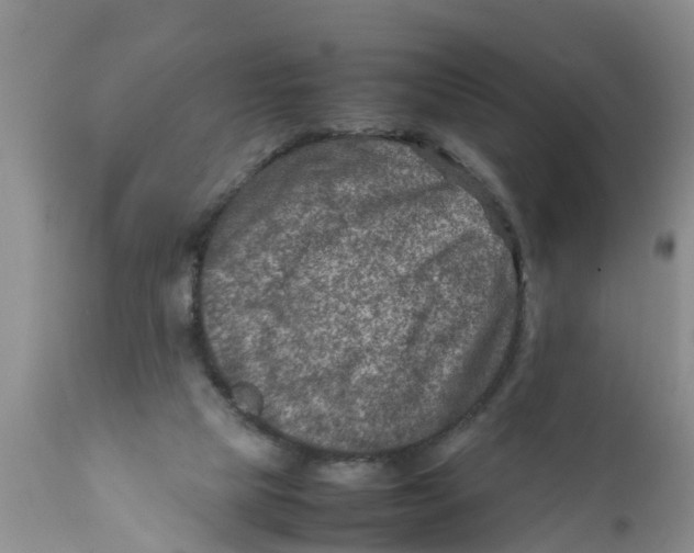 X0000111920065200908171334