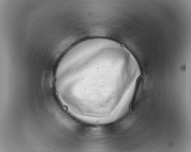 X0000111920068200908171334