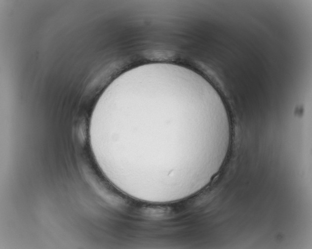 X0000111920069200908171334