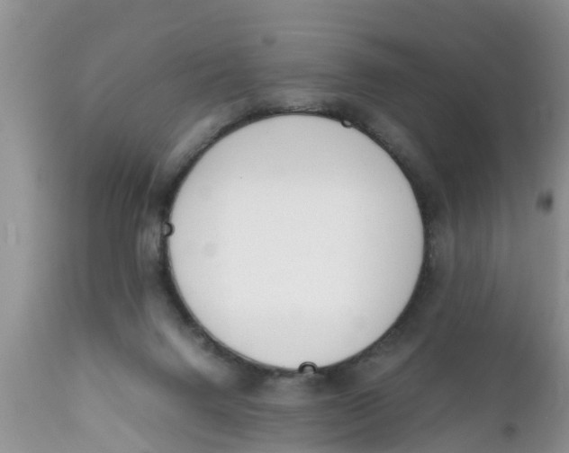 X0000111920072200908171334