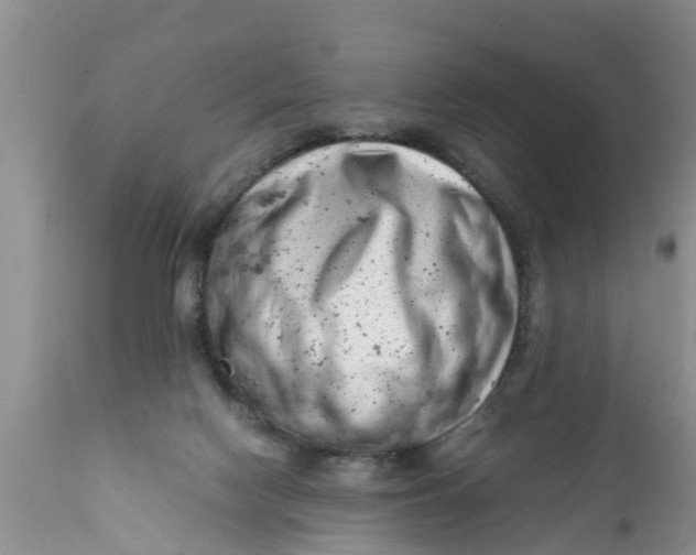 X0000111920074200908171334