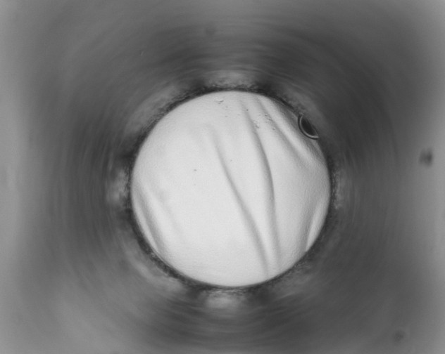 X0000111920077200908171334