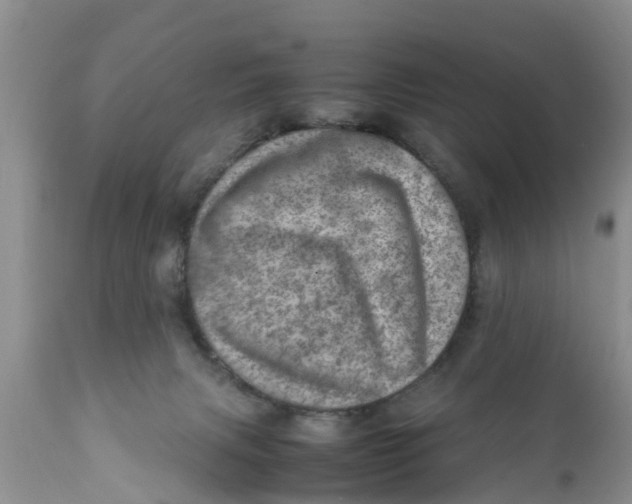 X0000111920079200908171334